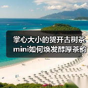 掌心大小的贺开古树茶mini如何焕发醇厚茶韵（图2）