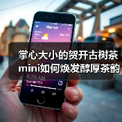 掌心大小的贺开古树茶mini如何焕发醇厚茶韵（图1）