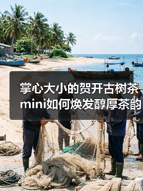掌心大小的贺开古树茶mini如何焕发醇厚茶韵（图4）