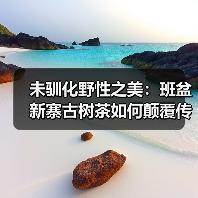 未驯化野性之美：班盆新寨古树茶如何颠覆传统品饮体验？（图1）