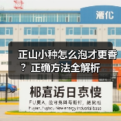 正山小种怎么泡才更香？正确方法全解析（图3）