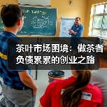 茶叶市场困境：做茶者负债累累的创业之路（图4）