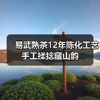易武熟茶12年陈化工艺 手工揉捻藏山韵（图3）