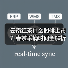 云南红茶什么时候上市？春茶采摘时间全解析（图4）