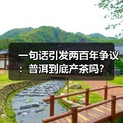 一句话引发两百年争议：普洱到底产茶吗？（图4）