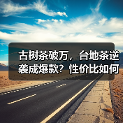 古树茶破万，台地茶逆袭成爆款？性价比如何改变普洱茶格局？（图1）
