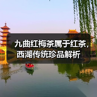 九曲红梅茶属于红茶，西湖传统珍品解析（图2）