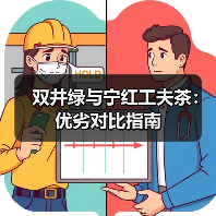 双井绿与宁红工夫茶：优劣对比指南（图3）