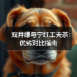 双井绿与宁红工夫茶：优劣对比指南（图4）