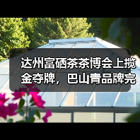 达州富硒茶茶博会上揽金夺牌，巴山青品牌完胜（图3）