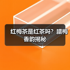 红梅茶是红茶吗？腊梅香韵揭秘（图3）