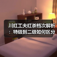 川红工夫红茶档次解析：特级到二级如何区分？（图2）