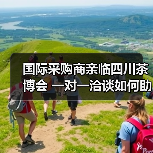 国际采购商亲临四川茶博会 一对一洽谈如何助力茶企拓展市场（图2）