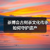 茶博会古树茶文化传承如何守护遗产（图4）