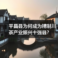平昌县为何成为精制川茶产业振兴十强县？（图2）