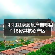 祁门红茶到底产自哪里？揭秘其核心产区（图3）