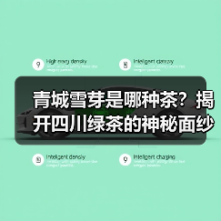 青城雪芽是哪种茶？揭开四川绿茶的神秘面纱（图1）