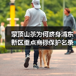 蒙顶山茶为何跻身浦东新区重点商标保护名录？（图1）