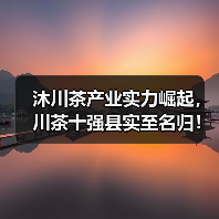 沐川茶产业实力崛起，川茶十强县实至名归！（图2）