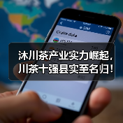 沐川茶产业实力崛起，川茶十强县实至名归！（图4）