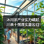 沐川茶产业实力崛起，川茶十强县实至名归！（图1）