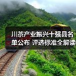川茶产业振兴十强县名单公布 评选标准全解读（图1）