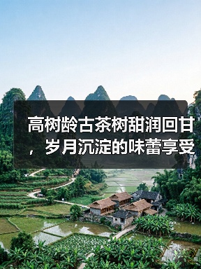 高树龄古茶树甜润回甘，岁月沉淀的味蕾享受（图2）