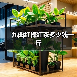 九曲红梅红茶多少钱一斤(图3) 九曲红梅红茶多少钱一斤(图3)