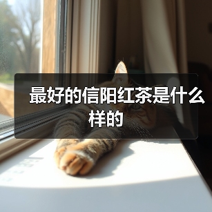 最好的信阳红茶是什么样的(图2) 最好的信阳红茶是什么样的(图2)