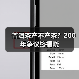 普洱茶产不产茶？200年争议终揭晓（图1）