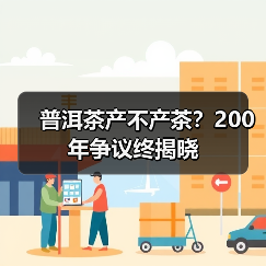 普洱茶产不产茶？200年争议终揭晓（图4）