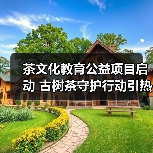 茶文化教育公益项目启动 古树茶守护行动引热议(图1) 茶文化教育公益项目启动 古树茶守护行动引热议(图1)
