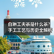 白琳工夫茶是什么茶?手工工艺与历史全解析(图4) 白琳工夫茶是什么茶?手工工艺与历史全解析(图4)
