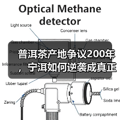 普洱茶产地争议200年,宁洱如何逆袭成真正源头?(图4) 普洱茶产地争议200年,宁洱如何逆袭成真正源头?(图4)