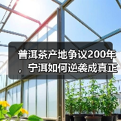 普洱茶产地争议200年,宁洱如何逆袭成真正源头?(图3) 普洱茶产地争议200年,宁洱如何逆袭成真正源头?(图3)