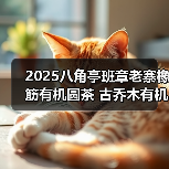 2025八角亭班章老寨橡筋有机圆茶 古乔木有机之韵,严选臻品(图2) 2025八角亭班章老寨橡筋有机圆茶 古乔木有机之韵,严选臻品(图2)