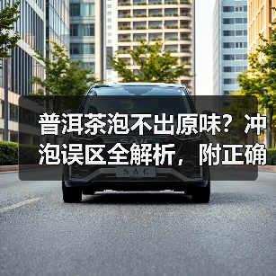 普洱茶泡不出原味?冲泡误区全解析,附正确方法(图3) 普洱茶泡不出原味?冲泡误区全解析,附正确方法(图3)