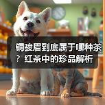 铜骏眉到底属于哪种茶？红茶中的珍品解析（图4）
