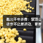 跑出千年茶香:蒙顶山徒步不止是运动,更是一场文化朝圣(图1) 跑出千年茶香:蒙顶山徒步不止是运动,更是一场文化朝圣(图1)