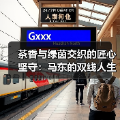 茶香与绿茵交织的匠心坚守:马东的双线人生(图1) 茶香与绿茵交织的匠心坚守:马东的双线人生(图1)