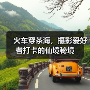 火车穿茶海,摄影爱好者打卡的仙境秘境(图3) 火车穿茶海,摄影爱好者打卡的仙境秘境(图3)