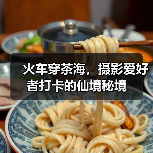 火车穿茶海,摄影爱好者打卡的仙境秘境(图2) 火车穿茶海,摄影爱好者打卡的仙境秘境(图2)