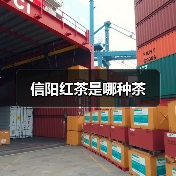 信阳红茶是哪种茶（图2）