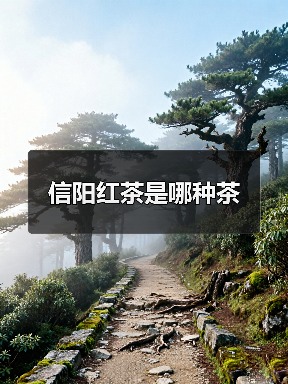 信阳红茶是哪种茶（图3）