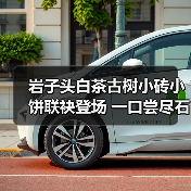 岩子头白茶古树小砖小饼联袂登场 一口尝尽石上茶香(图4) 岩子头白茶古树小砖小饼联袂登场 一口尝尽石上茶香(图4)