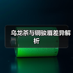 乌龙茶与铜骏眉差异解析（图2）