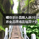 哪些茶叶品牌入选2025农业品牌精品培育计划?(图2) 哪些茶叶品牌入选2025农业品牌精品培育计划?(图2)