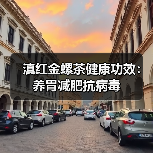 滇红金螺茶健康功效:养胃减肥抗病毒(图4) 滇红金螺茶健康功效:养胃减肥抗病毒(图4)
