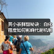 黄小茶鲜甜秘诀:白化程度如何影响代谢机制?(图1) 黄小茶鲜甜秘诀:白化程度如何影响代谢机制?(图1)