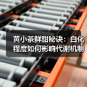 黄小茶鲜甜秘诀:白化程度如何影响代谢机制?(图3) 黄小茶鲜甜秘诀:白化程度如何影响代谢机制?(图3)